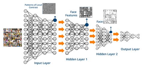 Are deep neural nets "Software 2.0"? - Michael's Bioinformatics Blog