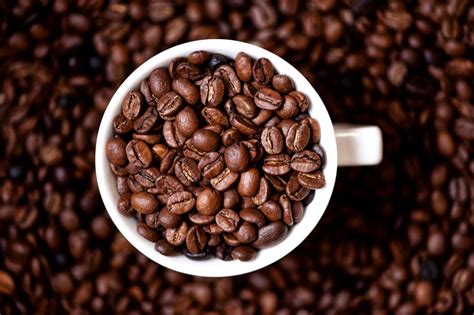 What are the different types of coffee beans? - FindersFree.com