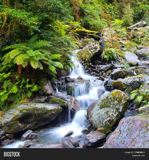 Waterfall Lush Rain Image & Photo (Free Trial) | Bigstock