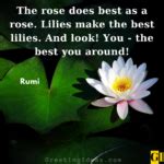 30 Best Lily Quotes And Sayings For A Pure Heart