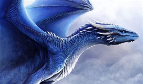 Saphira et Eragon favourites by Korryoyo3 on DeviantArt