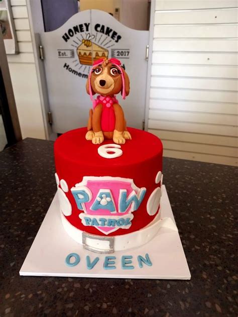 Paw Patrol Skye Cake - Honey Cakes