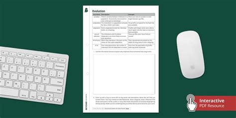 Evolution Worksheet - Interactive (Teacher-Made) - Twinkl