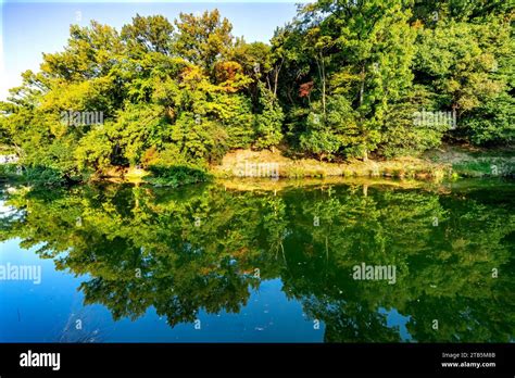 Orange Fall Leaves Green Reflection Abstract Autumn Furuichi kofungun ...