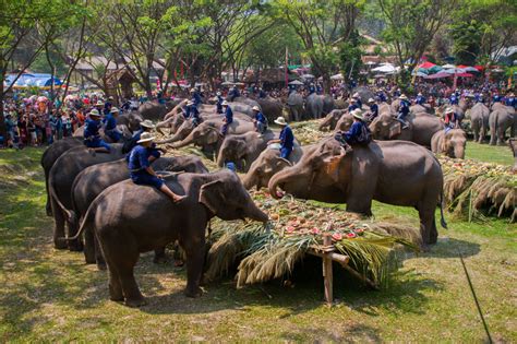 THAILAND’S AMAZING WILDLIFE