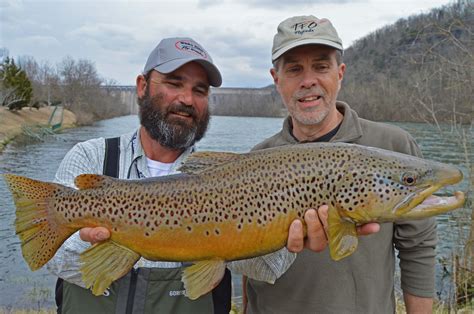 2016 - White River & Norfork River Fly Fishing Guide