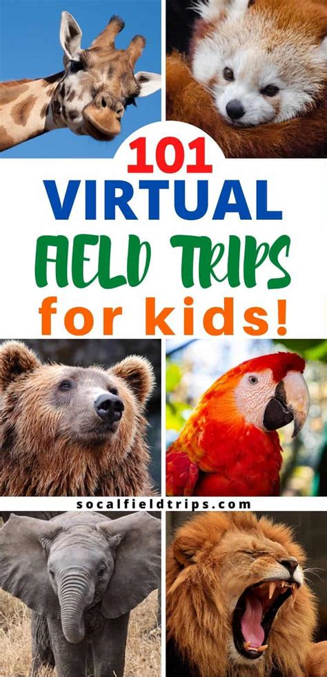 101 Virtual Field Trips To Take With Your Kids - SoCal Field Trips