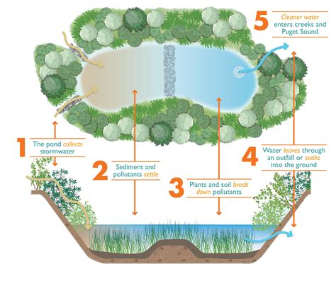 What is LID? - Kitsap Conservation District