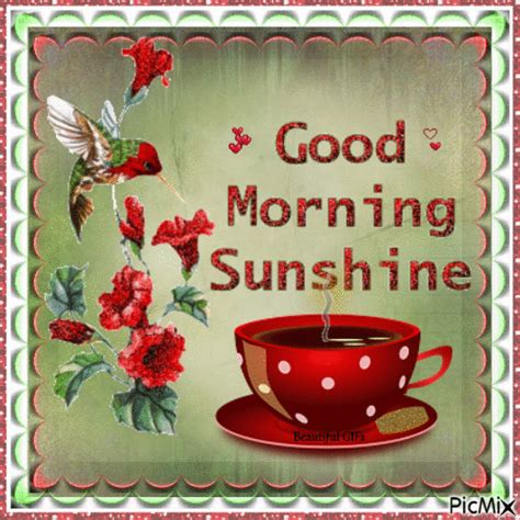 Good Morning Sunshine Gif | Tuesday greetings, Good morning sunshine ...