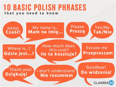 10 Basic Polish Phrases FREE Infographic - Download Today!