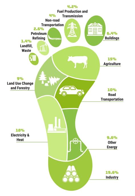 Carbon Footprint: Understanding Greenhouse Gases