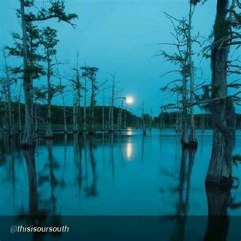 Blue Bayou