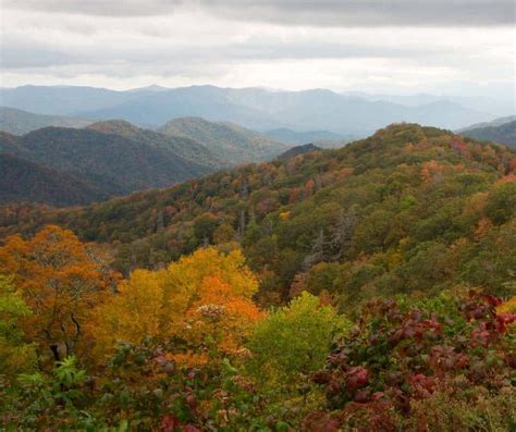 Tennessee Fall Colors- 15 Great Places to Enjoy Fall Foliage