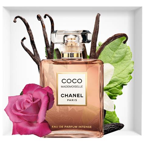 Chanel Coco Mademoiselle Intense | Reastars Perfume and Beauty magazine