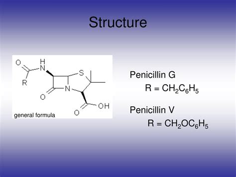 PPT - Penicillin PowerPoint Presentation, free download - ID:5068640