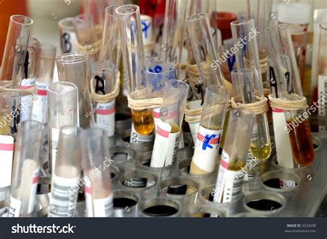 Educational Chemistry Laboratory Test Tubes Detail Stock Photo 3233698 ...