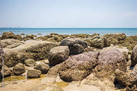 Photos of beautiful Hua Hin Beach in Thailand Stock Photo | Adobe Stock