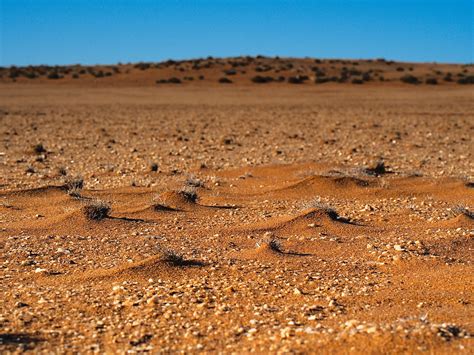 Stevenzo - Steven Adler's: Walking on the Desert Plateau