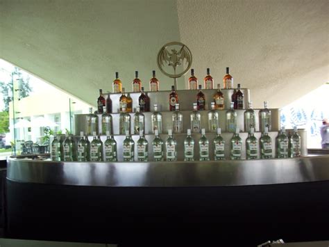 Puerto Rico Cruise Excursions | Bacardi tour puerto rico