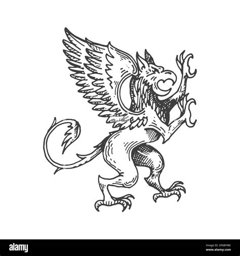 Griffin or gryphon medieval heraldic animal sketch. Fantasy gryphon, mythical animal or magic ...