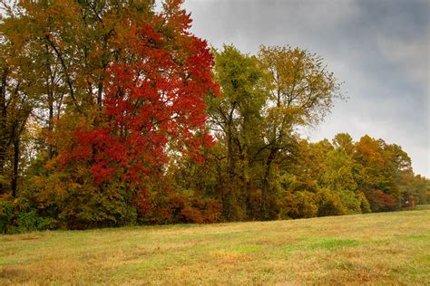 Early October Autumn Colors | 11 October views of developing… | Flickr