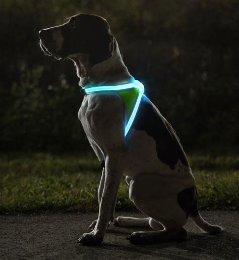 Reflective LED Dog Vest - Oh The Things You Can Buy