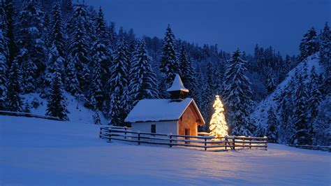 Wallpaper : lights, night, snow, winter, house, evening, Christmas Tree ...