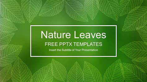 Powerpoint Backgrounds Leaves