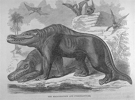 Megalosaurus