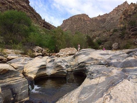 Pictures Catalina Foothills Tucson AZ| Laura & Tim Sayers