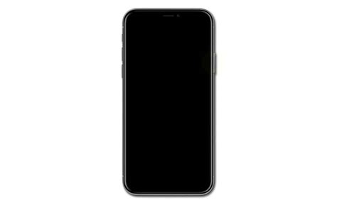 iphone xs black screen of death ios 13 - TheCellGuide