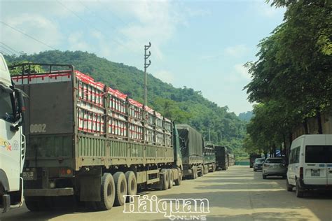 Lang Son: Putting solutions to reduce agricultural congestion at Tan Thanh border gate - Chu Se ...