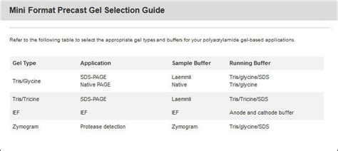 10 Sds Page Gel Recipe | Bryont Blog