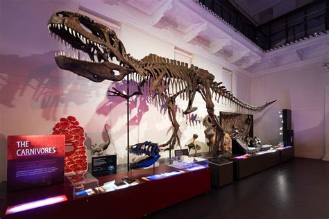 Dinosaurs Australian Museum | Sydney Event Spaces