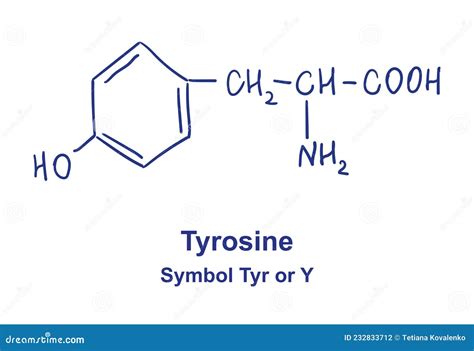 Tyrosine Chemical Structure. Vector Illustration Hand Drawn Stock ...