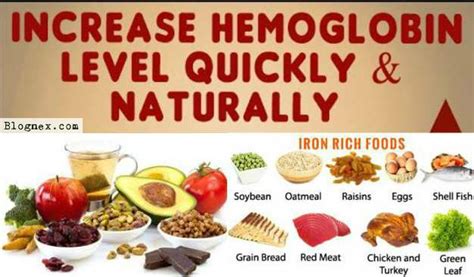 how to increase hemoglobin during pregnancy Archives - Blognex