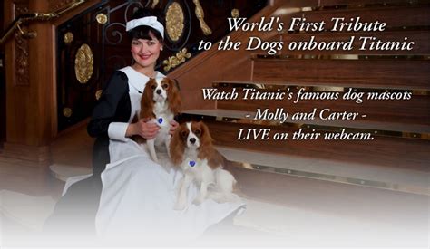 World's first tribute to the dogs onboard Titanic! | Dogs, Famous dogs, Titanic