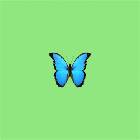 🦋 Butterfly emoji Meaning | Dictionary.com