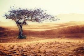 Photo gratuite: Désert, Dune, Algodones Dunes - Image gratuite sur ...