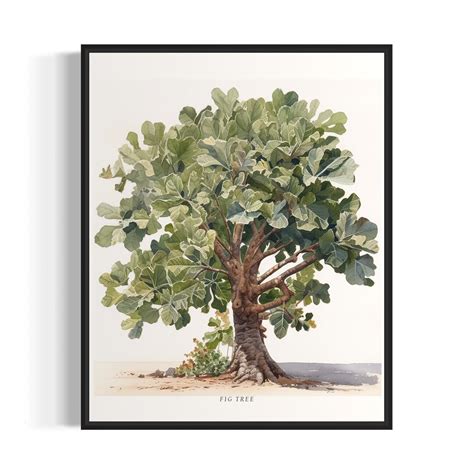 Fig Tree Art Print, Fig Tree Wall Art Poster - Etsy