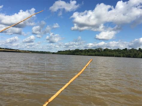 Amazon River piranha fishing on the Yavari River between Peru and Brazil