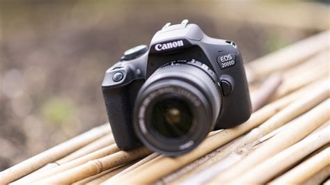 Best beginner DSLR cameras 2020: the 10 finest DSLRs for new ...