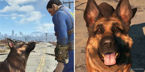 Fallout 4: How To Use Dogmeat To His Full Potential