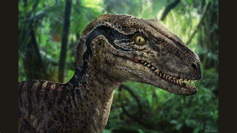 Jurassic World Blue Velociraptor Concept Art - Jurassic World Posters ...