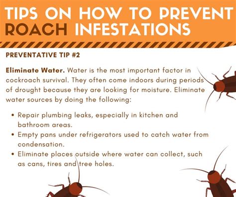 Tips on Preventing Roach Infestations | Roach infestation, Household pests, Diy bug spray