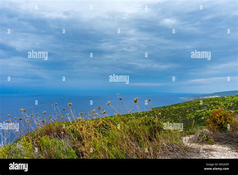 Greece, Zakynthos, Hiking trail through nature paradise along the coast ...