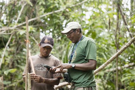 Conservation projects in Mesoamerica make the case for Indigenous ...