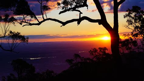 1024x768 wallpaper | Yellow, Rockhampton, Sunset, Purple, tree, sunset | Peakpx