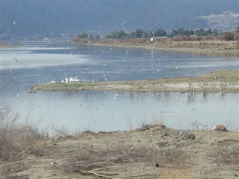 Lake Elsinore Fishing Report: Catch Wipers, Bass & Cats - Best Fishing in America