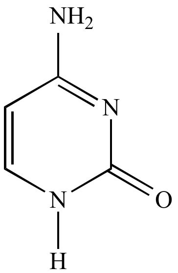 Illustrated Glossary of Organic Chemistry - Cytosine